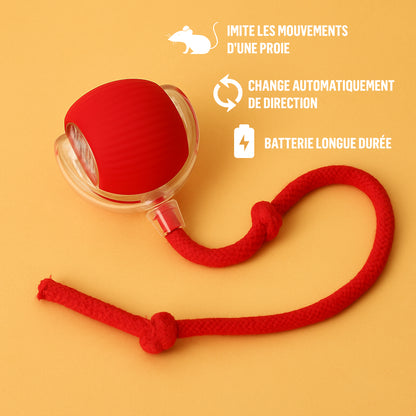 Balle interactive pour chat