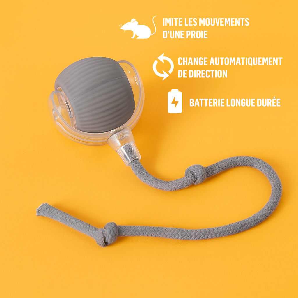 Balle interactive pour chat