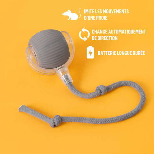 Balle interactive pour chat